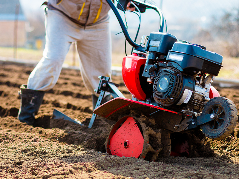 Dさん（60代、プロコース、男性）